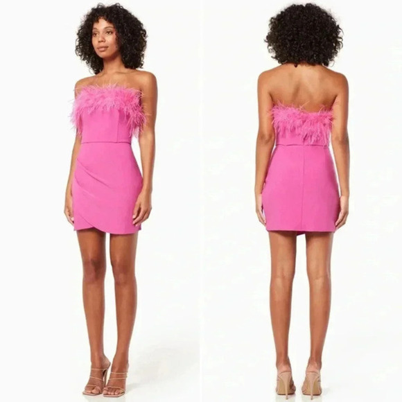 NWT ELLIATT Paulina Pink Mini Dress Size Medium Feather Trim - Picture 4 of 10